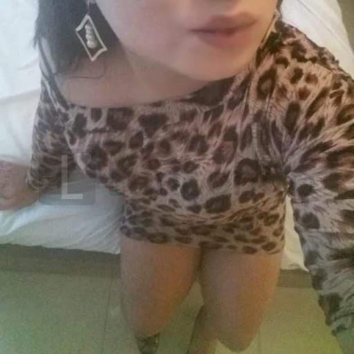 Emilly Trans 