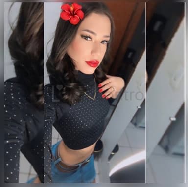 Lulu Auto nível 
